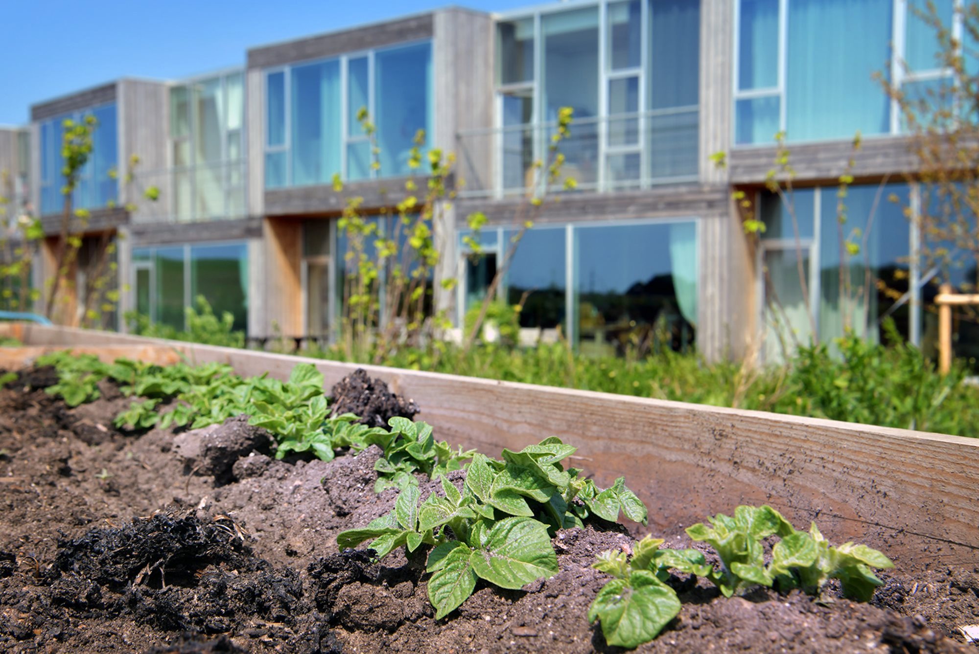 Rødbedevej 99, 8200 Aarhus N