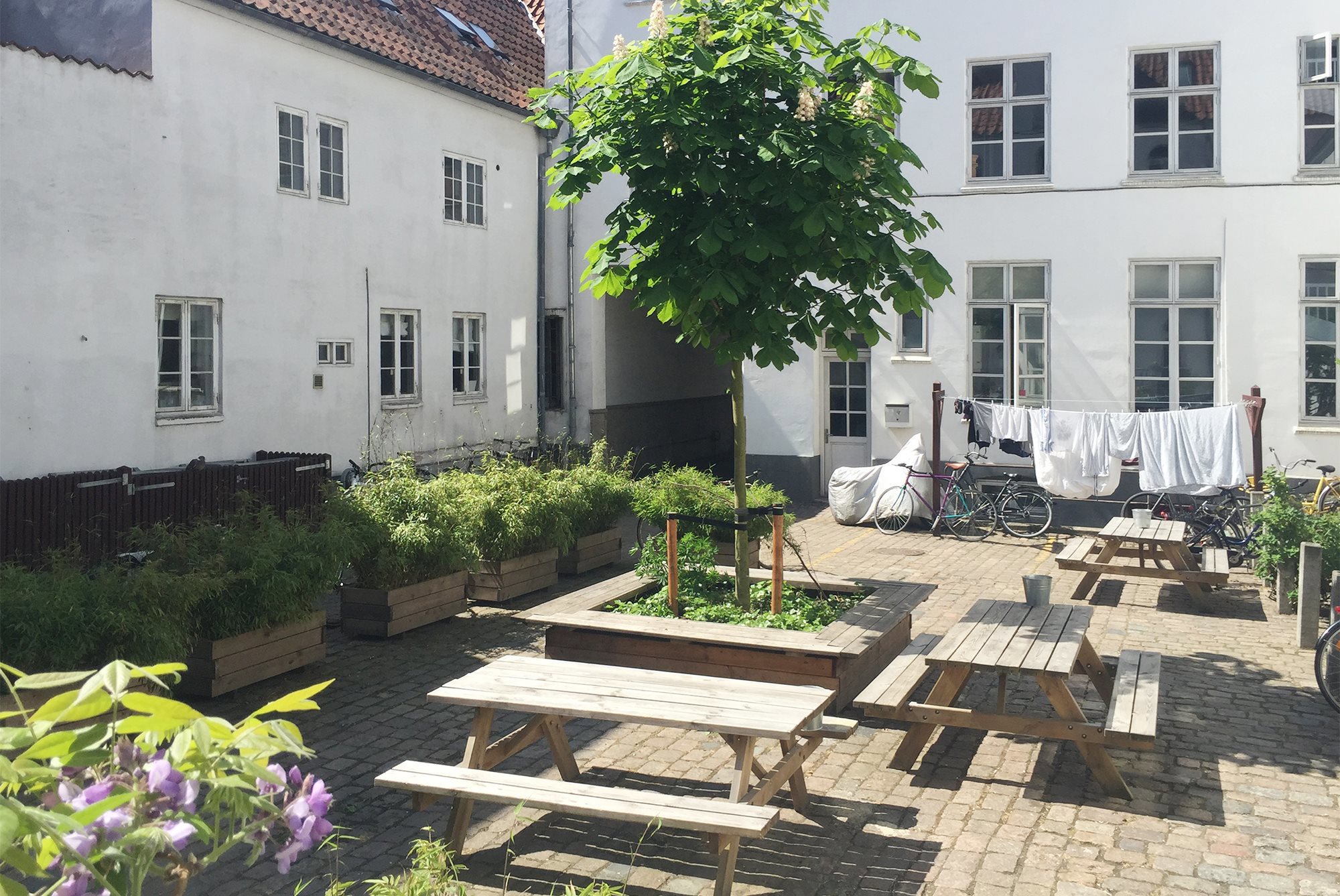 Mejlgade 50s, tv. vær 73., 8000 Aarhus C